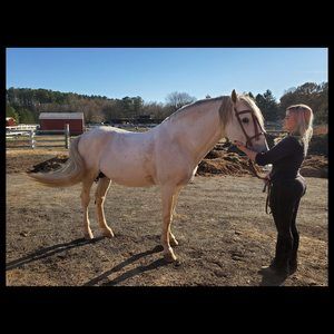 Meet your Posher, Jessica